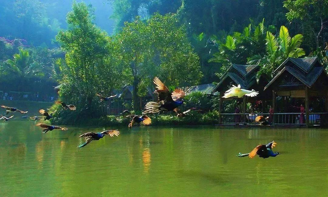 历史上最著名的狠话是什么？游戏画面