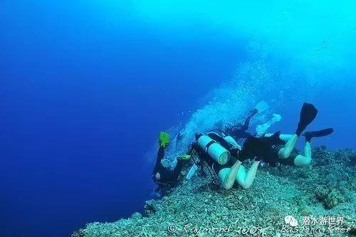 小红帽的冒险之旅