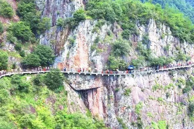 三联家电重返济南泉城路,开业首日吸引众多消费者 | AI播泉城